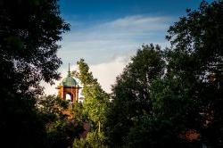 Photo of College Hall belltower framed by trees.