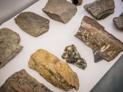 Photo of assorted rock samples